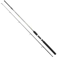 SERT Fish Instinctcast Spinning Rod Zwart,Grijs 2.70 m / 40-80 g
