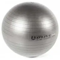 Olive Fitness Fitbal