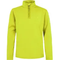 Protest Skipully Boys Rewillowy Jr 1/4 Zip Active Limone-Maat 116