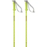 Salomon Polar Stokken
