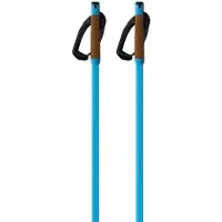 Fischer Storm Gtx M Stokken