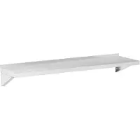 Royal Catering Wandplank - RVS - 150x40 cm - tot 30 kg -