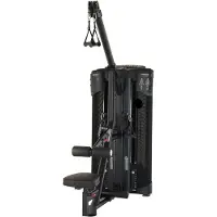 Inspire Maximum DUAL Krachtstation - Lat en Low Row