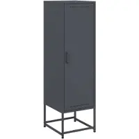 vidaXL Hoge kast 36x39x123 cm staal antracietkleurig