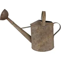 Clayre & Eef Decoratie gieter 53x22x36 cm grijs ijzer