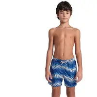 Arena Allover Swimming Shorts Blauw 10-11 Years Jongen