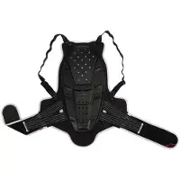 Alpinestars Bionic Rugbeschermer