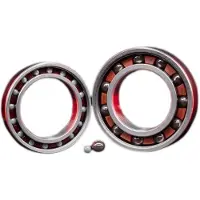 Zipp 61903 Ceramic Lagers