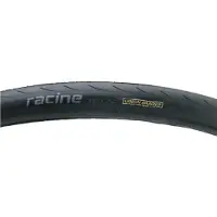 WTB tyres Racine Deluxe 700c X 25 Stijve Racefietsband
