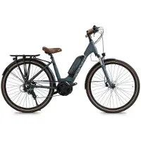 Granville E-urban 10 Bosch Performance Elektrische Fiets
