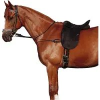 Norton Adjustable Elastic Chambon Bruin Full