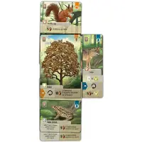 Lookout Games Forest Shuffle Board Game Goud Kinderen