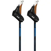 Swix Dynamic D2 Stokken Zwart 170 cm