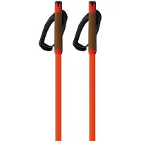 Fischer Storm Gtx L Stokken