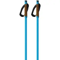 Fischer Storm Gtx L Stokken