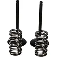 ProX Yamaha Yz450f 10-13 Vcsis24402 Inlaatklep