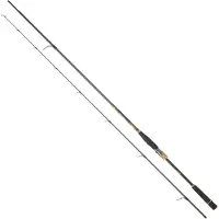Daiwa Morethan Branzino Expert Ags Spinning Rod Goud 2.44 m / 14-42 g