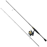 Daiwa Rs602lfsaf+rs1000c Spinning Combo Goud 1.83 m / 5-14 g