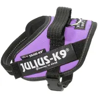 JULIUS K-9 IDC Powertuig Paars - maat Baby 1
