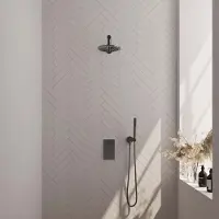 Brauer Gunmetal Edition complete inbouw regendouche met 3 standen handdouche, plafondarm, glijstang en hoofddouche 30cm set 48 gunmetalgeborsteld PVD