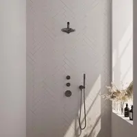 Brauer Edition Thermostatische Inbouw Doucheset - Hoofddouche 30cm - Wandarm Gebogen - Ronde Handdouche - Geborsteld Gunmetal PVD - Messing - Kranen, - Kranen, Douchekranen, Douchesets, Inbouw