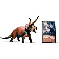 Eofauna Triceratops Dominant Figure Bruin Kinderen