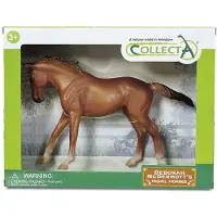 Collecta Deluxe Pure Mare Blood Brown Box 1:12 Figure Bruin 3-6 Years Kinderen