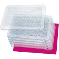 Miniland Pegs 6 Transparent Plates Transparant Kinderen