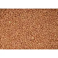 Wielink Gepelde pinda's 4 x 2,5 kg