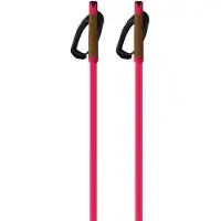 Fischer Storm Gtx L Stokken