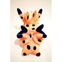 Oceanarium Thecacera Sp.8 Nudibranch Tissueboxhoes