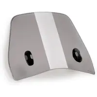 Puig Trafic Peugeot Tweet 125 Gt 2025 Voorruit