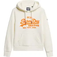 Superdry Neon Vl Embroidered Graphic Hoodie