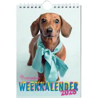 Interstat Rachael Hale weekkalender 2025