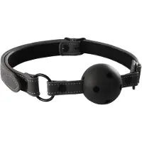 NSNovelties - Renegade Ball Gag