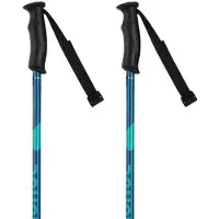 Rossignol Electra Stokken