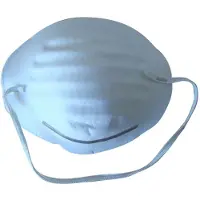 Redtree Dust Mask 50 Units Wit
