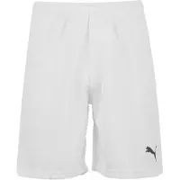Puma Sportbroek 'TeamRise'