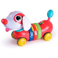 Tachan Rainbow Puppy With Remote Control And Activities Spanish Veelkleurig 18-24 Months Kinderen