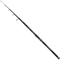 Carp Expert Advancer Tele Carpfishing Rod Zilver 3.30 m / 40-80 g