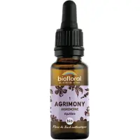 Biofloral Bachbloesems Nr. 2 Aspen | 20 ml