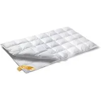 Vandyck 4 Seizoenen Dekbed Astro 90 Duo 90% Ganzendons-240 x 220 cm
