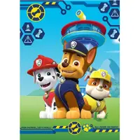 Paw Patrol fleeceplaid 100x140cm