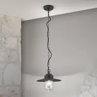 Orion Edward buiten hanglamp, antraciet, Ø 27,5 cm, aluminium Edward, dimbaar, zwart, Aluminium, Antiek
