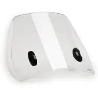 Puig Traffic Piaggio Fly 50/125 13-15 Voorruit