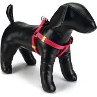 Beeztees Hondentuig Uni Roze 46-75 X 2 Cm