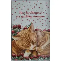Franciens katten Kerstkaarten 2 rode poezen Francien katten - 8 dubbele wenskaarten met 8 enveloppen - schattige kerstkaart