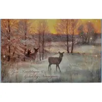 Rien Poortvliet Kerstkaarten met hertjes - 8 dubbele kerstkaarten met 8 enveloppen - kerstkaart hert