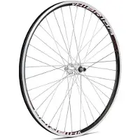 Gurpil Xm-1 6-7s 29´´ Tubeless Mtb Achterwiel