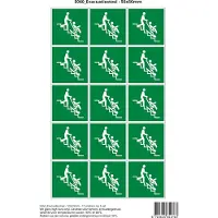 Stickerkoning Pictogram sticker E060 Evacuatiestoel - 50x50mm 15 stickers op 1 vel